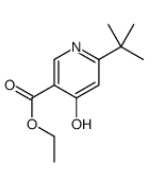 ETHYL 6-(TERT-BUTYL)-4-OXO-1,4-DIHYDROPYRIDINE-3-CARBOXYLATE
