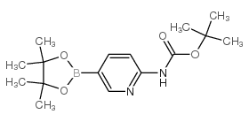 Boc-6-Aminopyridine-3-boronic acid pinacol ester