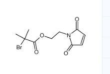 2-bromo-2-methylpropionic acid 2-(2,5-dihydro-2,5-dioxo-1H-pyrrol-1-yl)ethyl ester