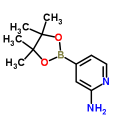 2-aminopyridine-4-boronic acid pinacol ester