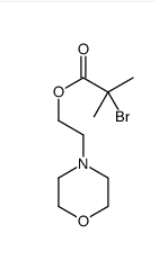2-Morpholinoethyl 2-bromo-2-methylpropanoate