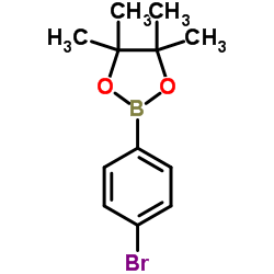 2-(4-Bromophenyl)-4,4,5,5-tetramethyl-1,3,2-dioxaborolane