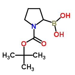 1-N-boc-pyrrolidin-2-ylboronic acid