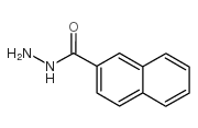 2-NAPHTHHYDRAZIDE