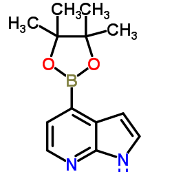 4-(4,4,5,5-Tetramethyl-1,3,2-dioxaborolan-2-yl)-1H-pyrrolo[2,3-b]pyridine