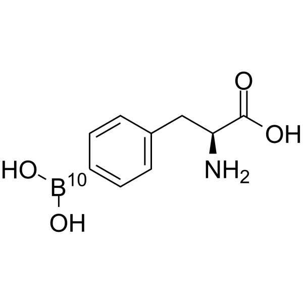10BenrichedL-4-boronophenylalanine,GMPBPA
