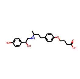 10-O-(3-carboxypropyl)ractopamine ether