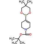 tert-butyl 4-(5,5-dimethyl-1,3,2-dioxaborinan-2-yl)cyclohex-3-ene-1-carboxylate