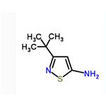 3-(2-Methyl-2-propanyl)-1,2-thiazol-5-amine