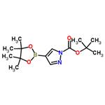 1-Boc-4-pyrazoleboronic Acid Pinacol Ester