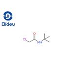 N-(TERT-BUTYL)-2-CHLOROACETAMIDE