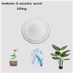Indole-3-acetic acid