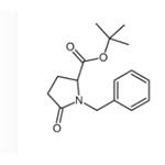 (S)-tert-butyl 1-benzyl-5-oxopyrrolidine-2-carboxylate
