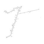 Tirzepatide   sodium