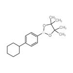 2-(4-Cyclohexylphenyl)-4,4,5,5-tetramethyl-1,3,2-dioxaborolane
