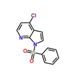 1H-Pyrrolo[2,3-b]pyridine, 4-chloro-1-(phenylsulfonyl)-