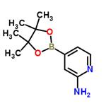 2-aminopyridine-4-boronic acid pinacol ester