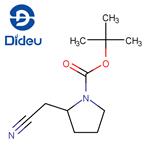 (R)-TERT-BUTYL 2-(CYANOMETHYL)PYRROLIDINE-1-CARBOXYLATE