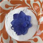 1-Testosterone cypionate