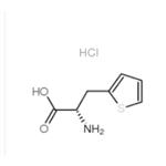 3-THIOPHEN-2-YL-L-ALANINE HCL