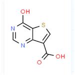 4-oxo-3,4-dihydrothieno[3,2-d]pyrimidine-7-carboxylic acid