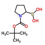 1-N-boc-pyrrolidin-2-ylboronic acid pictures