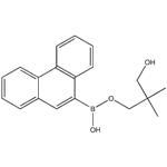 9-Phenanthreneboronic acid neopentylglycol ester