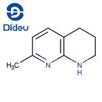 1,8-Naphthyridine,1,2,3,4-tetrahydro-7-methyl-(9CI)