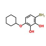 4-cyclohexyloxybenzeneboronic acid