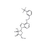N6-(3-Trifluoromethylbenzyl)-2'-C-methyl adenosine