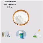 Glutathione Peroxidase