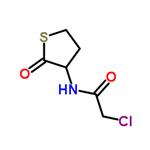 2-CHLORO-N-(2-OXO-3-THIENYL)ACETAMIDE