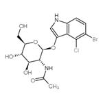 5-Bromo-4-chloro-3-indolyl-N-acetyl-beta-D-glucosaminide