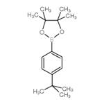 2-(4-(TERT-BUTYL)PHENYL)-4,4,5,5-TETRAMETHYL-1,3,2-DIOXABOROLANE