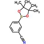 3-(4,4,5,5-Tetramethyl-1,3,2-dioxaborolan-2-yl)benzonitrile