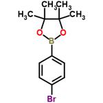 2-(4-Bromophenyl)-4,4,5,5-tetramethyl-1,3,2-dioxaborolane