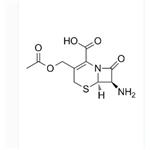 7-Aminocephalosporanic acid