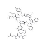 Urotensin II (114-124), human