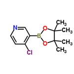 4-Chloropyridine-3-boronic acid pinacol ester