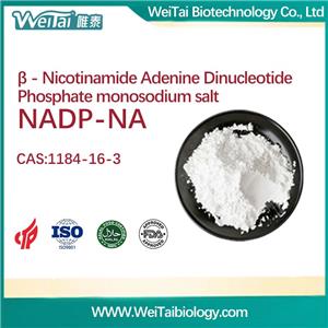  β-Nicotinamide adenine dinucleotide phosphate sodium salt（NADP-Na）
