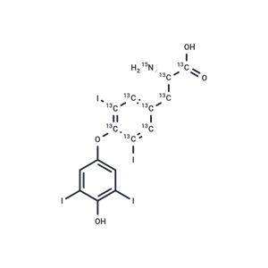 L-Thyroxine-13C9,15N