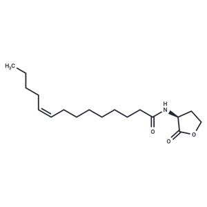 N-cis-tetradec-9Z-enoyl-L-Homoserine lactone