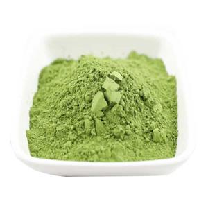 Pine, Pinus pinaster, ext. 