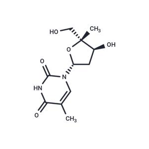 4'-Methylthymidine