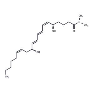 Leukotriene B4 dimethyl amide