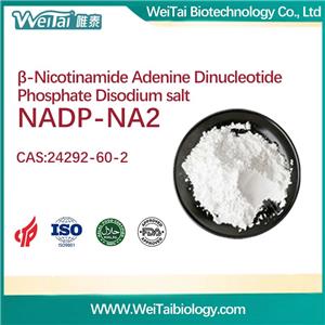 β-Nicotinamide Adenine Dinuclotide Phosphate disodium salt (NADP-NA2)