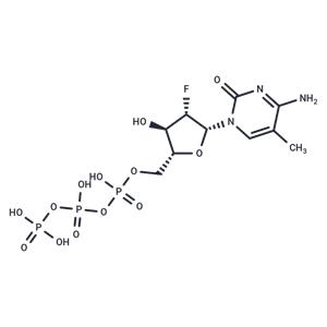 2'-Deoxy-2'-fluoro-5-methyl-araobinocytidine ?5'-triphosphate triethyl ammonium salt(79570-62-0 free base)