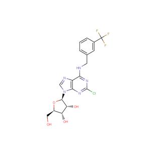 2'-Chloro-N6-(3-trifluoromethyl)benzyl ? adenosine