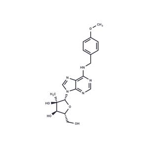 N6-(4-Methoxybenzyl)-2'-C-methyl adenosine