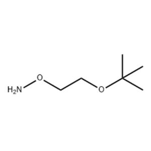 O-(2-tert-butoxyethyl)hydroxylaMine